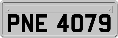PNE4079