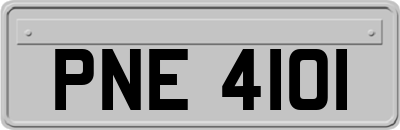 PNE4101