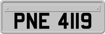 PNE4119