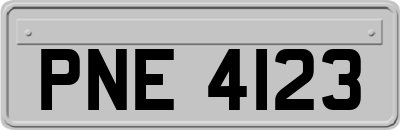 PNE4123