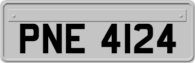 PNE4124