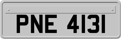 PNE4131