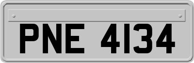 PNE4134