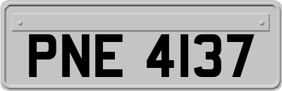 PNE4137