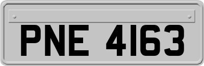 PNE4163
