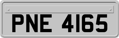 PNE4165