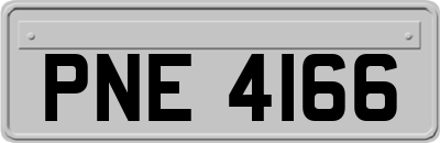 PNE4166