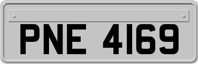 PNE4169