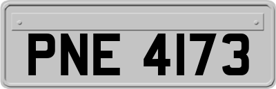 PNE4173