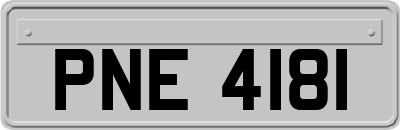 PNE4181