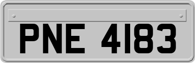 PNE4183
