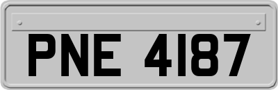 PNE4187