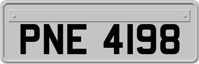 PNE4198
