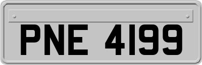PNE4199