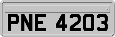 PNE4203