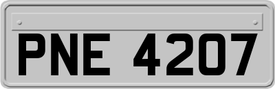 PNE4207