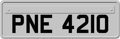 PNE4210