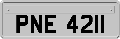 PNE4211