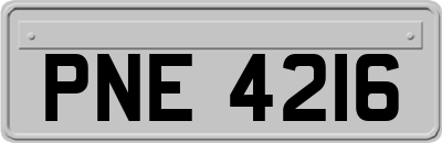 PNE4216