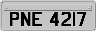 PNE4217