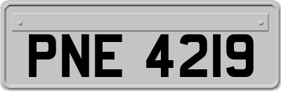PNE4219