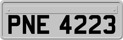 PNE4223