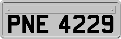 PNE4229