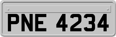 PNE4234