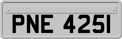 PNE4251