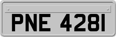 PNE4281