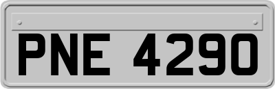 PNE4290