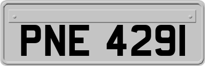 PNE4291