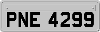 PNE4299