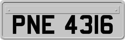 PNE4316