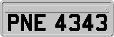 PNE4343