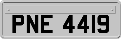 PNE4419