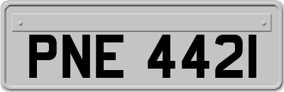 PNE4421