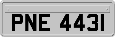PNE4431