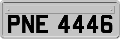 PNE4446
