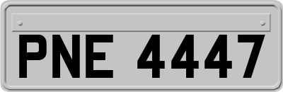 PNE4447