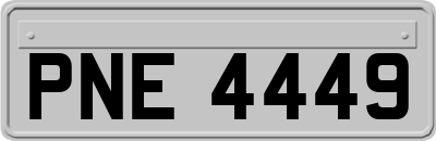 PNE4449