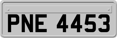 PNE4453
