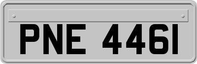 PNE4461