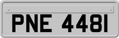 PNE4481