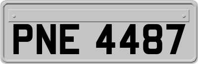 PNE4487