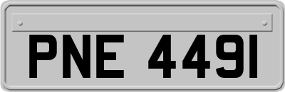 PNE4491
