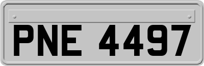 PNE4497