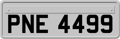 PNE4499