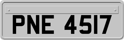 PNE4517