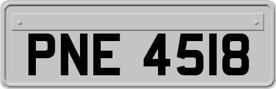 PNE4518